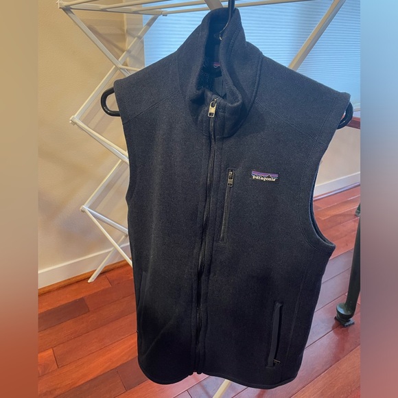Patagonia Other - Patagonia Vest